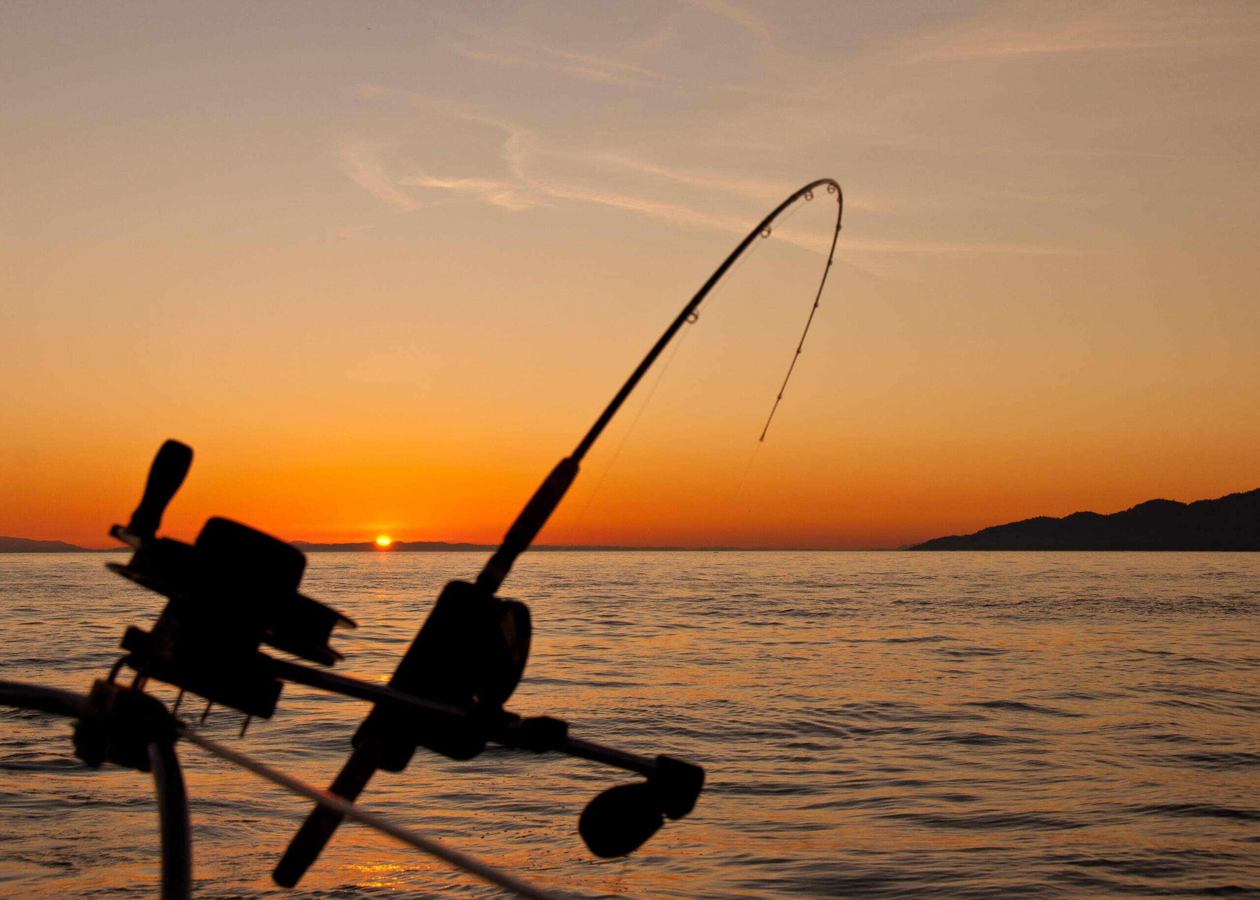 10+  Fishing Channels To Enjoy - YTD Downloader